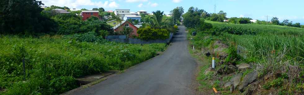 7 avril 2017 - St-Pierre - Ligne des Bambous -