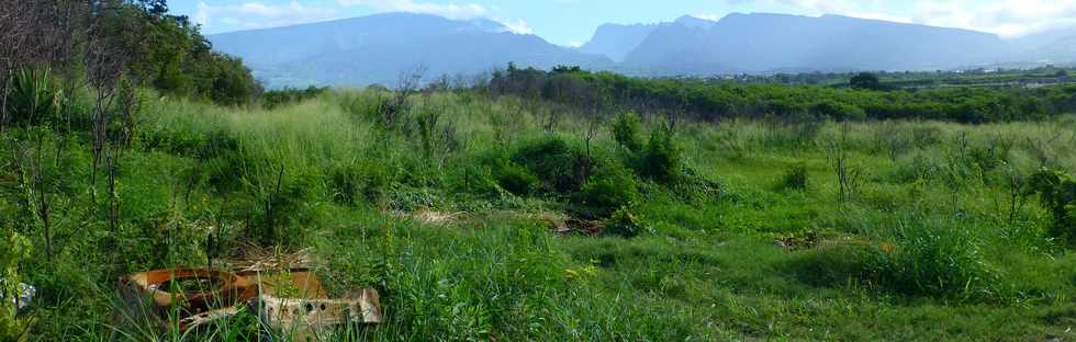 7 mai 2017 - St-Pierre - Emplacement future route RN1- ZI4