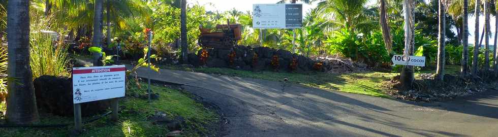 25 juin 2017 - St-Pierre - Grands Bois les Hauts - Chemin Bassin Chevrettes - Domaine 1000 cocos