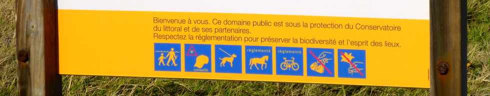 2 juillet 2017 - St-Pierre - Littoral de Pierrefonds - Site naturel protg