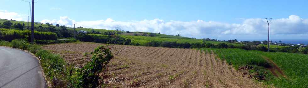 1er octobre 2017 - St-Pierre - Chemin de Bassin Plat - Champs de cannes