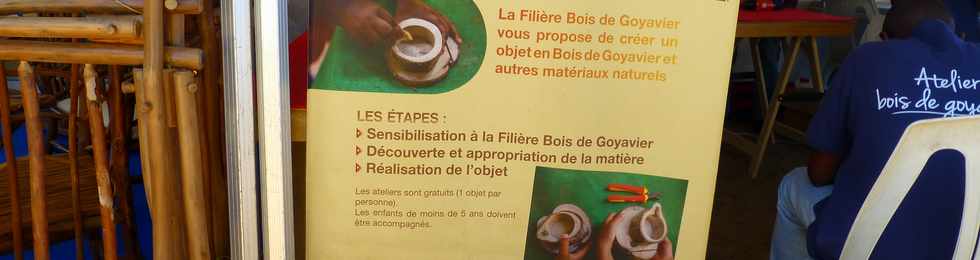 29 octobre 2017 - St-Pierre - Journe dpartementale des personnes ges - Ravine Blanche