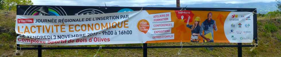 5 novembre 2017 - St-Pierre - Bois d'Olives - Journe d'insertion par l'activit conomique