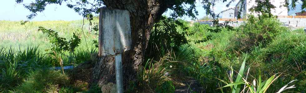 26 novembre 2017 - St-Pierre - Bois d'Olives - Canal St-Etienne