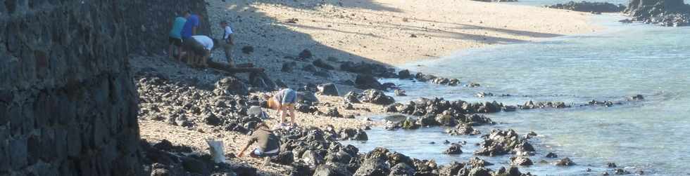 01/07/2018 - St-Pierre - Petit boulevard de la Plage (rue Max Vauquelin ) - Ramassage des gravats sur la plage - Action citoyenne -