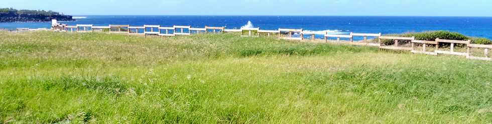 24 mars 2019 - St-Pierre - Amnagement du littoral ouest - Saline Balance